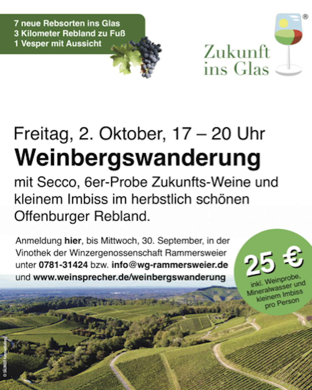 Anmeldung zur Weinbergswanderung